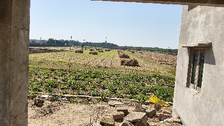 થંબનેલ 3