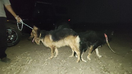 થંબનેલ 3