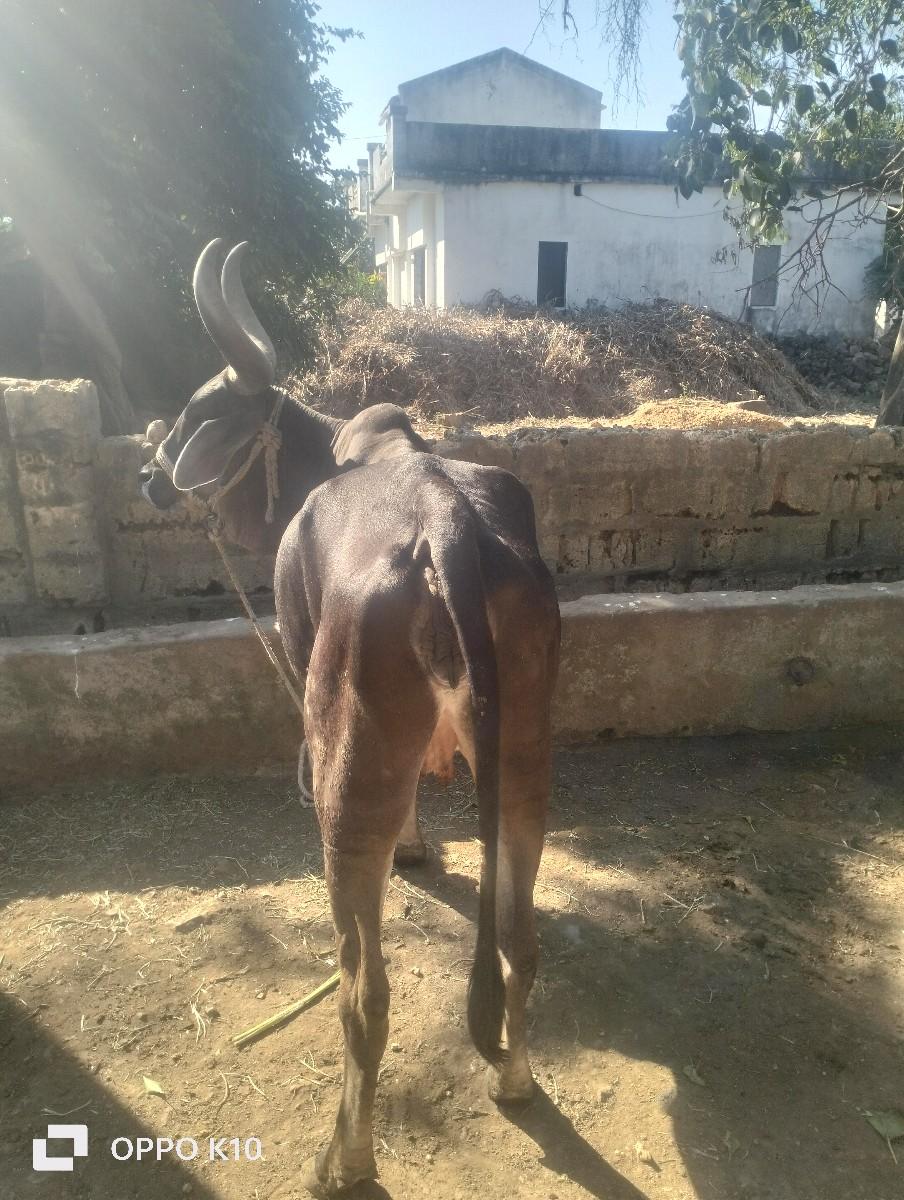 थंबनेल 3