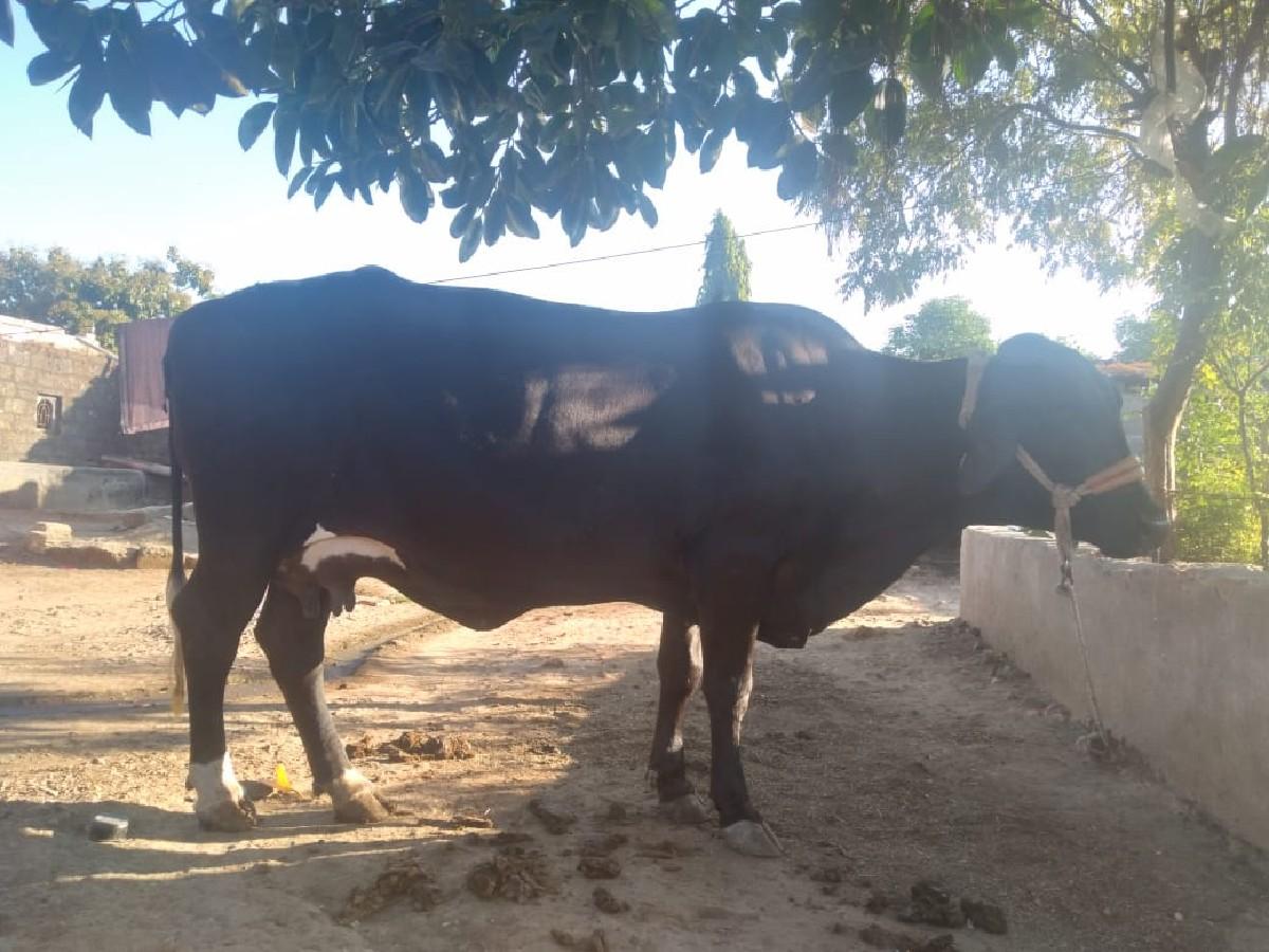 थंबनेल 2