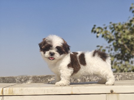 થંબનેલ 2