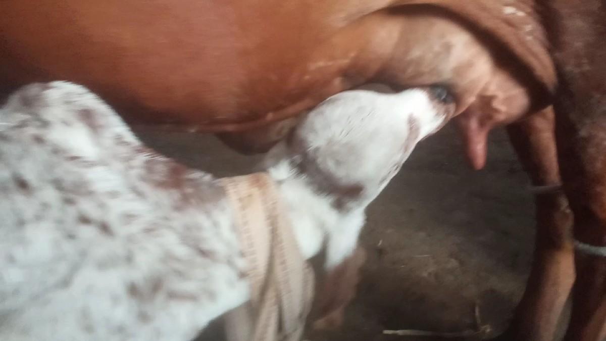 थंबनेल 2