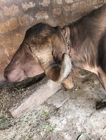 થંબનેલ 2