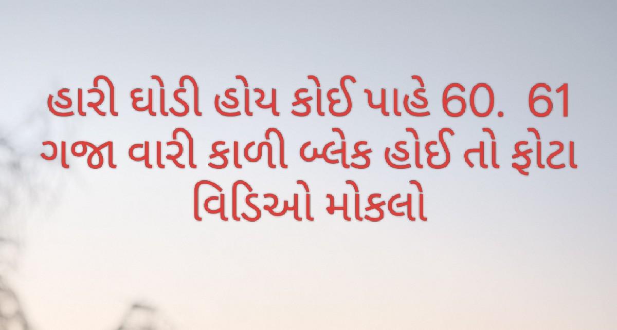 ઘોડી લેવા ની છે
