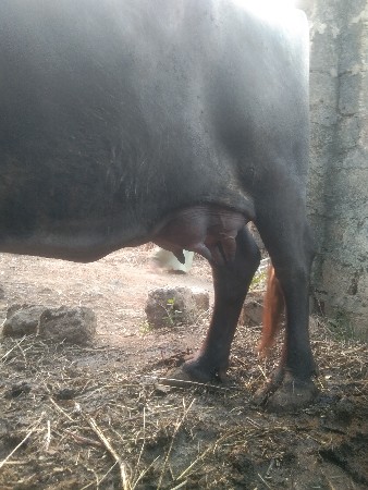 थंबनेल 2