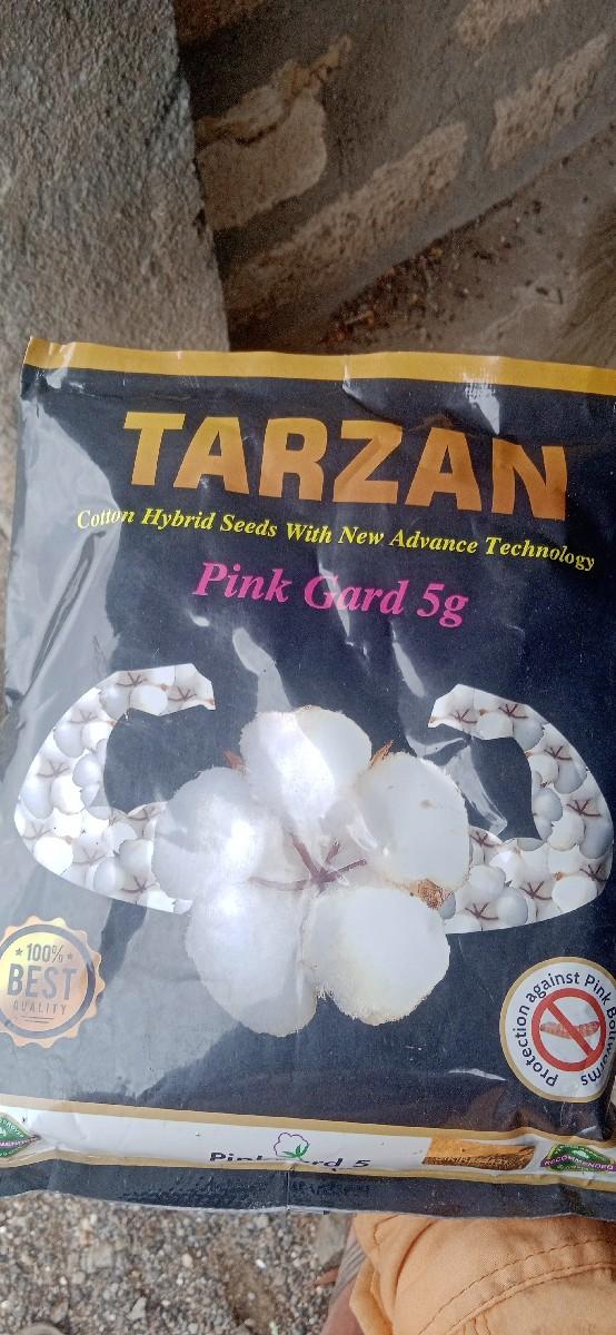 જમીનવેસવાનીસે