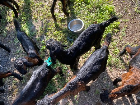 વેચવાના //6354662756//