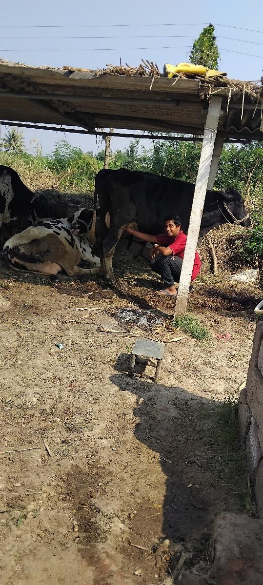 थंबनेल 3