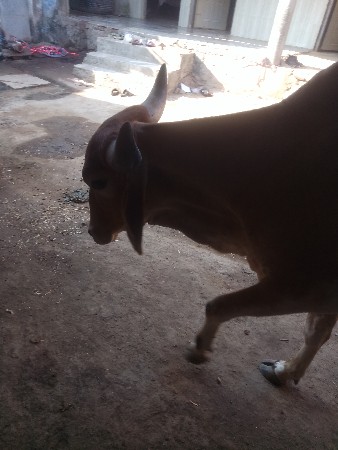 थंबनेल 2