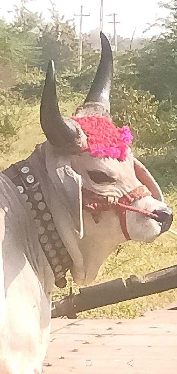 थंबनेल 3