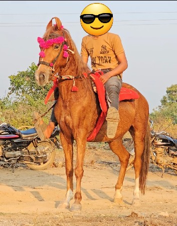 थंबनेल 2