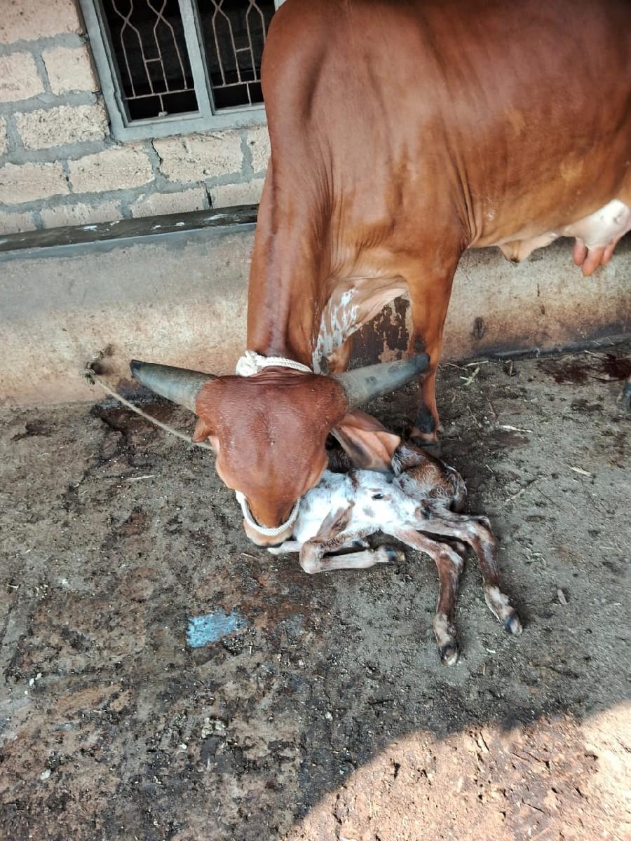 थंबनेल 2