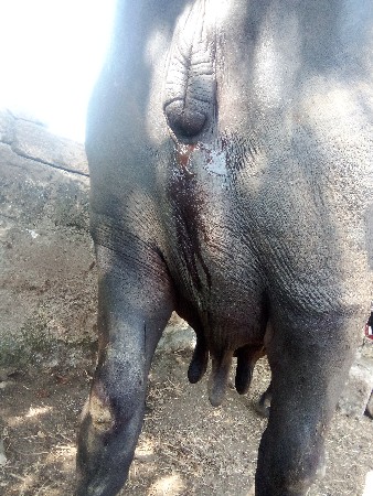 થંબનેલ 3