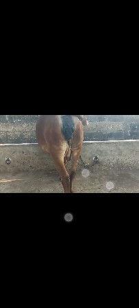 થંબનેલ 6