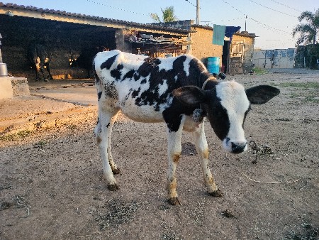 थंबनेल 3