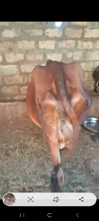 थंबनेल 2