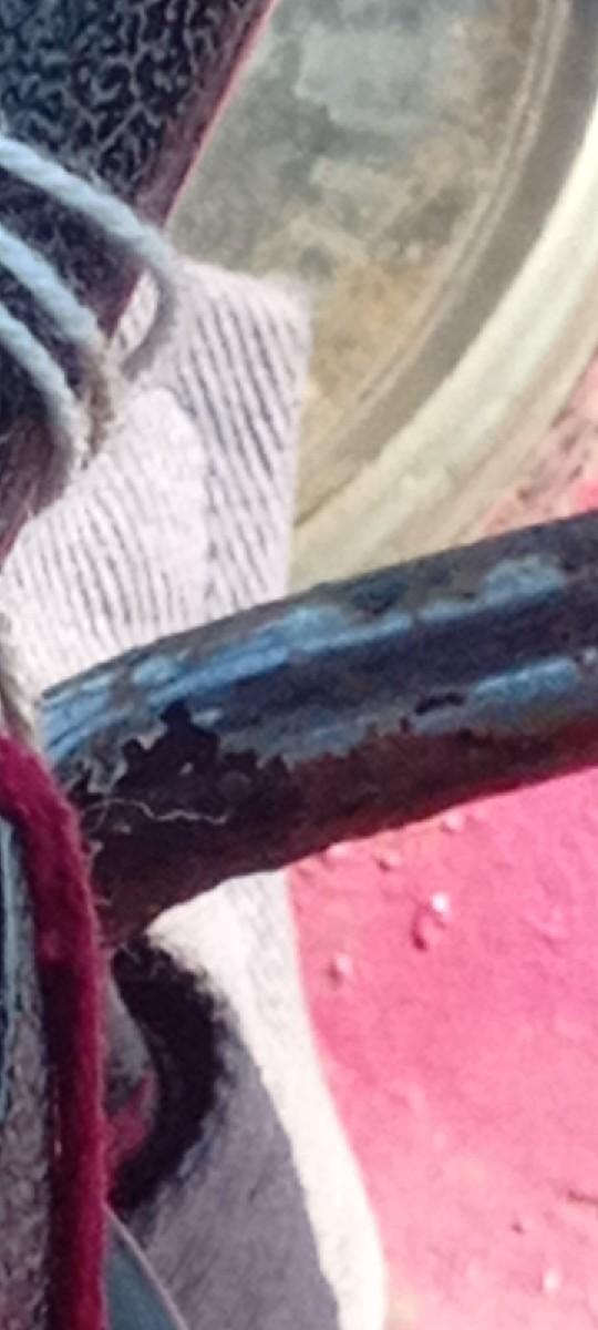 થંબનેલ 3