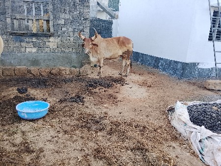 થંબનેલ 3