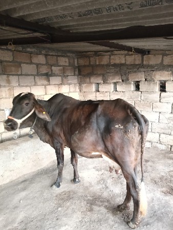 थंबनेल 2