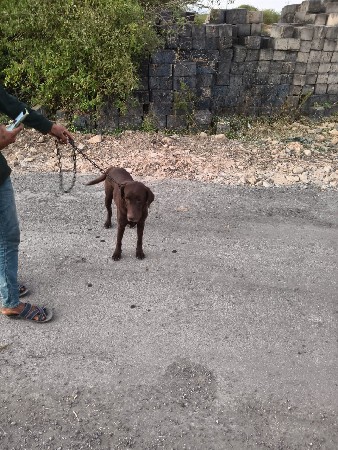 થંબનેલ 2