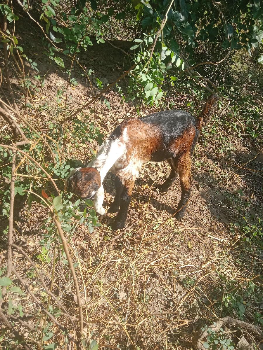 थंबनेल 3