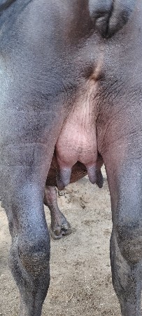 थंबनेल 3