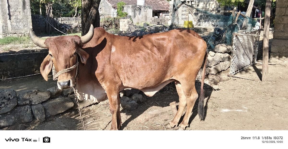 थंबनेल 2