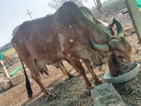 થંબનેલ 3