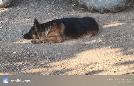 થંબનેલ 3