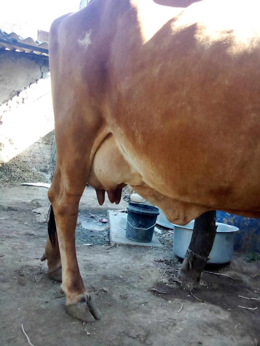 થંબનેલ 2