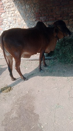 थंबनेल 3