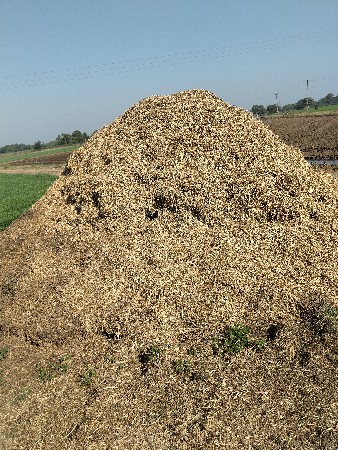 માંડવીનો ભૂકો વેચાવ છે