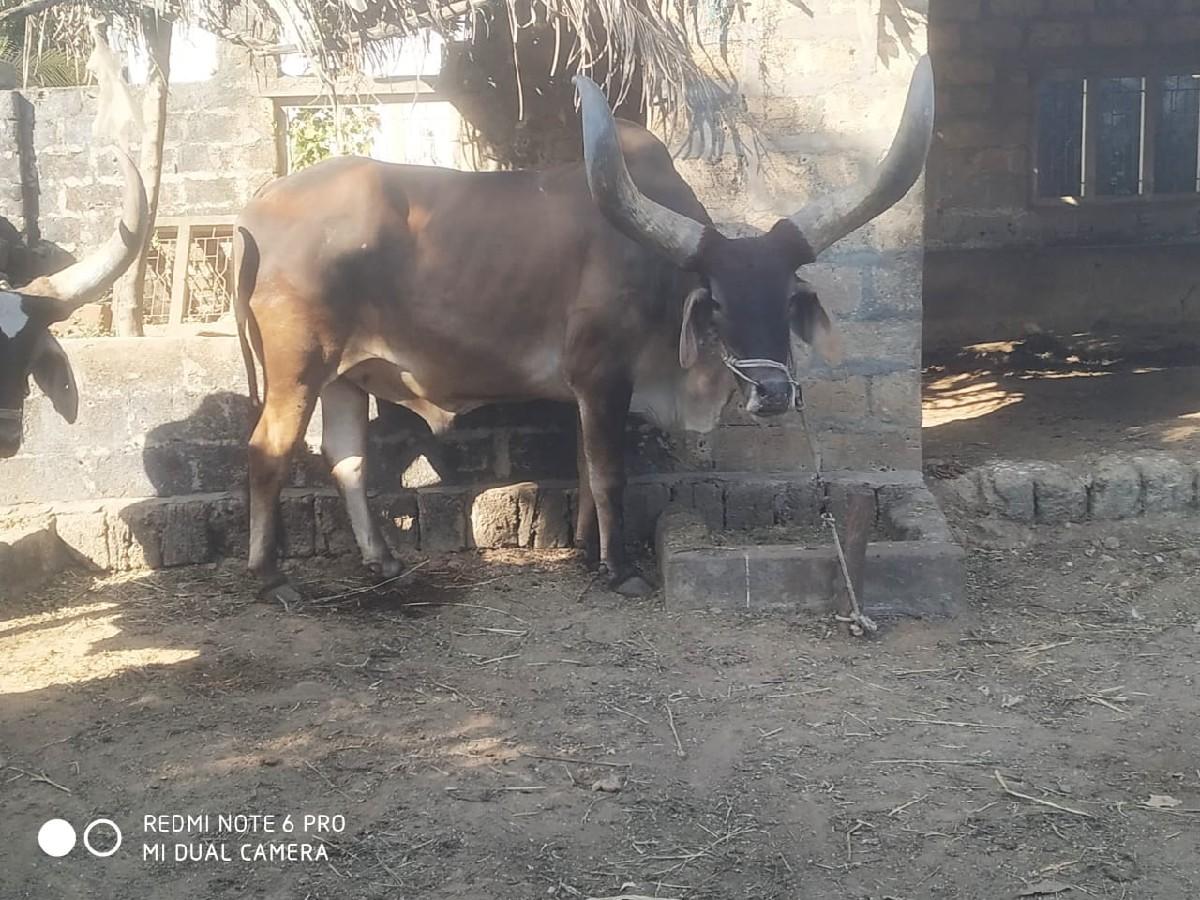 थंबनेल 3