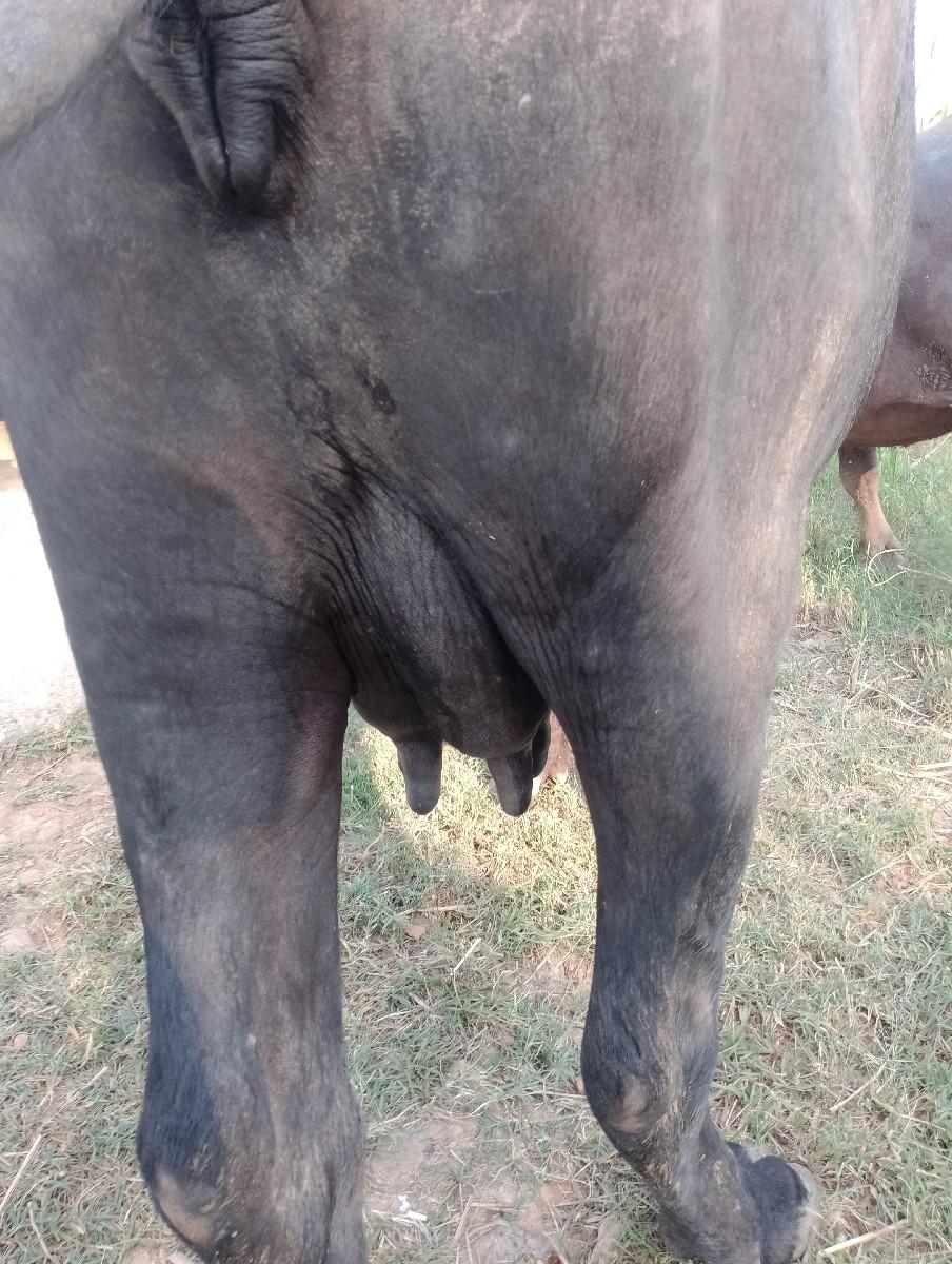 थंबनेल 2