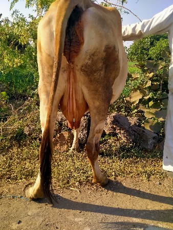 થંબનેલ 3