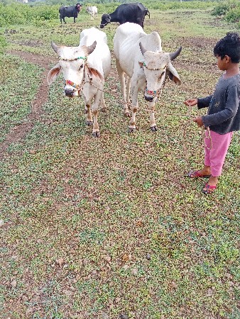 થંબનેલ 3