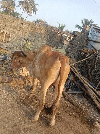 થંબનેલ 2