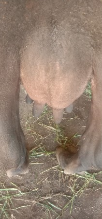 थंबनेल 6