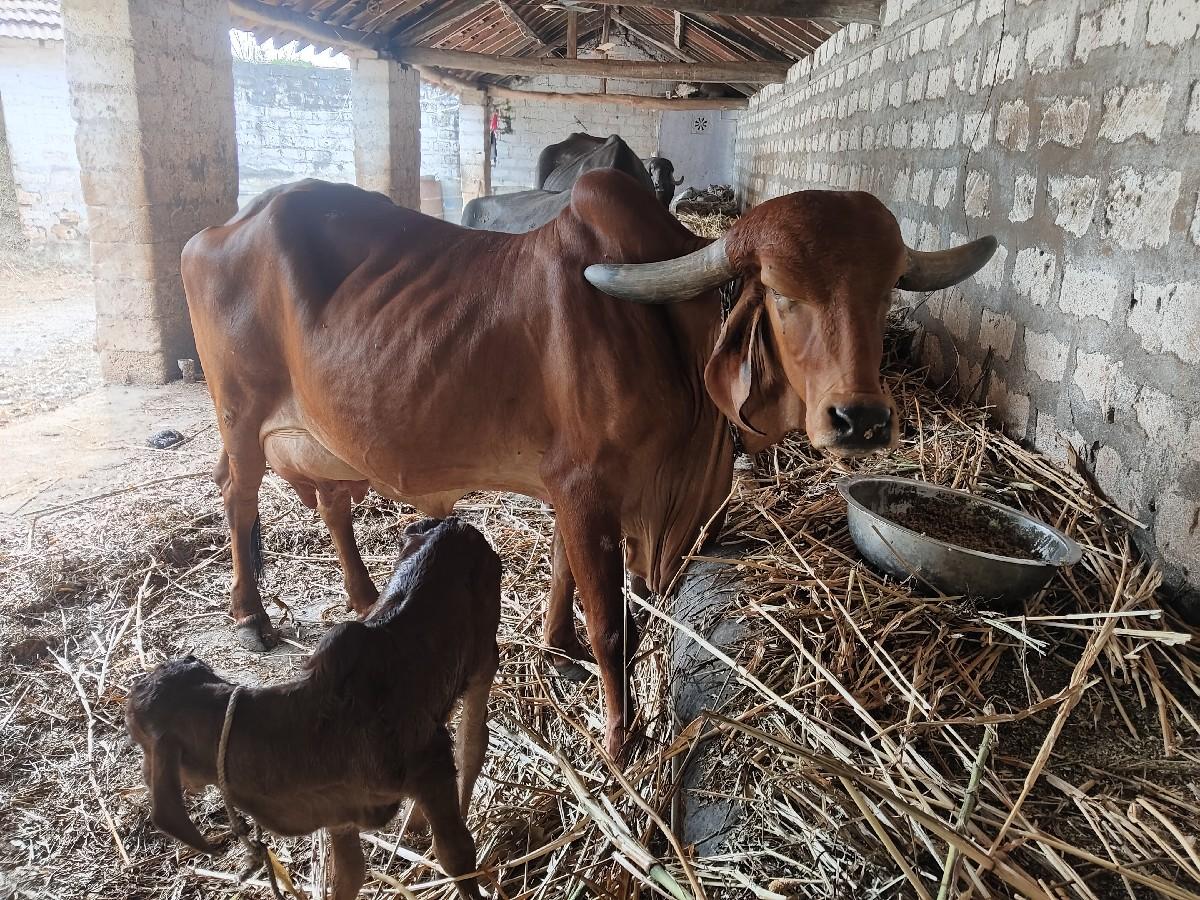 थंबनेल 3