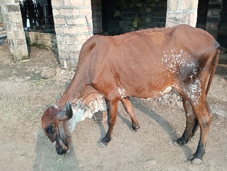 थंबनेल 2