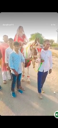 थंबनेल 2