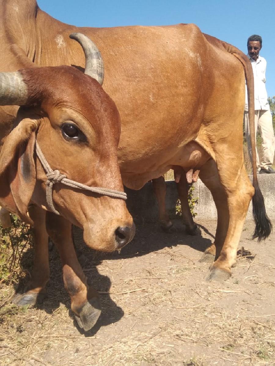 थंबनेल 3