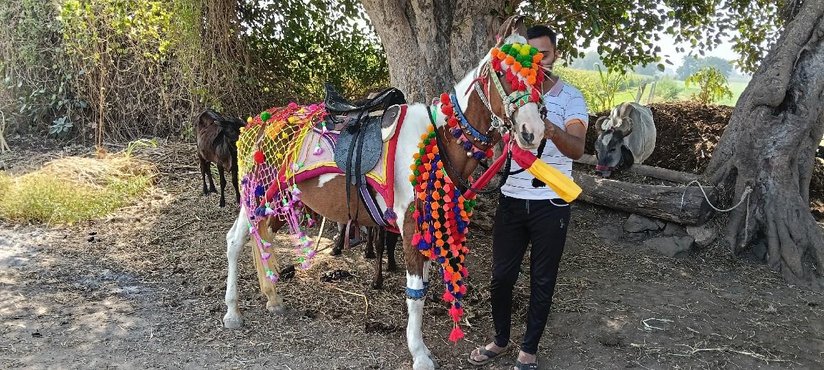 थंबनेल 2