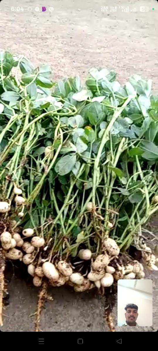 ઉઘડ માં જમીન રાખવી છે