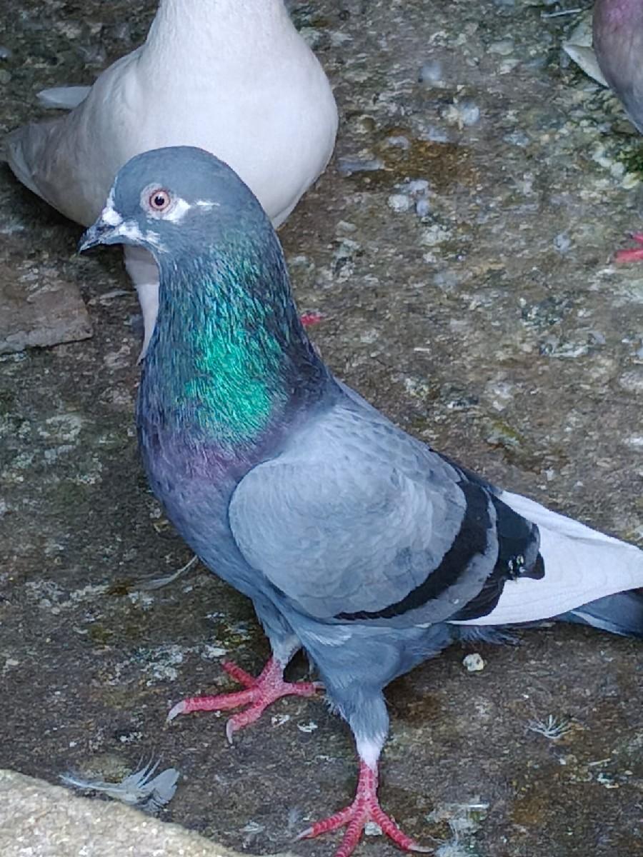 થંબનેલ 3