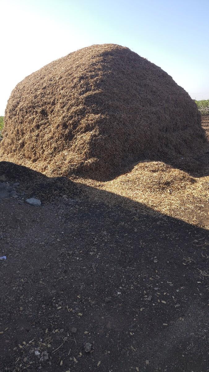 માંડવી નો ભૂકો વેશવાં નો છે