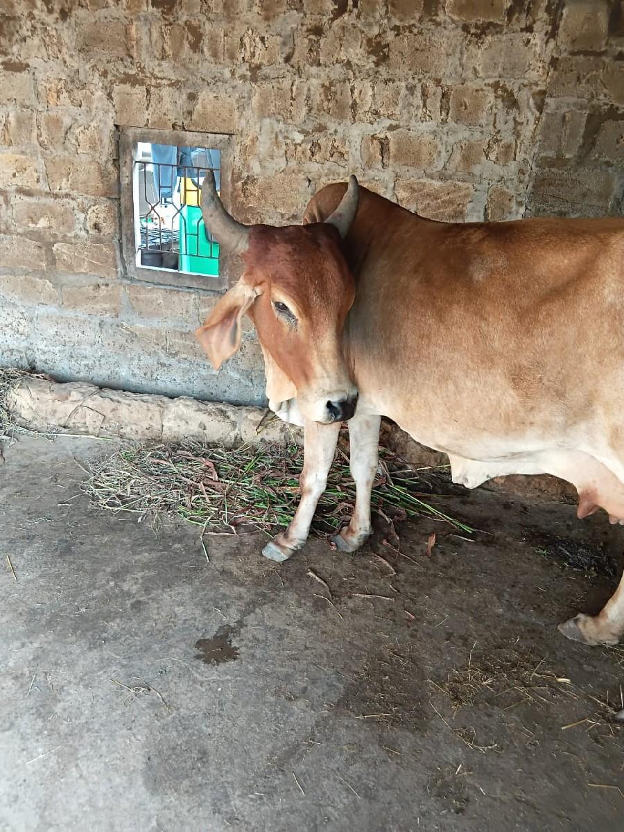 બીજા વેતર મા છે