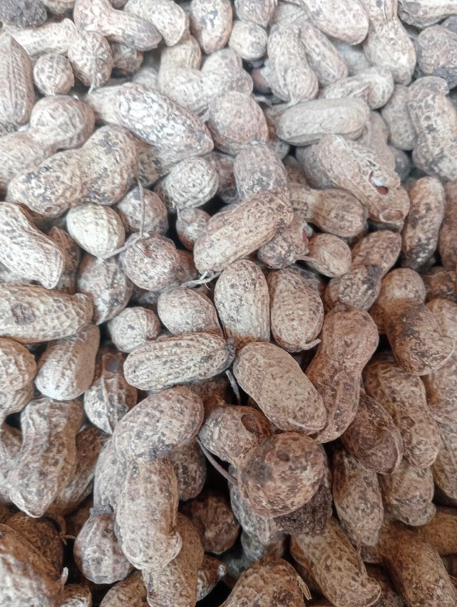 magfali vechava ni chhe.