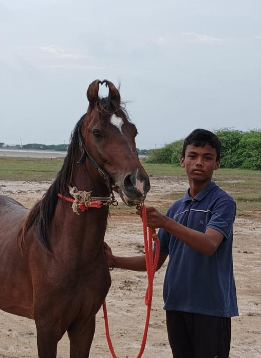 થંબનેલ 2