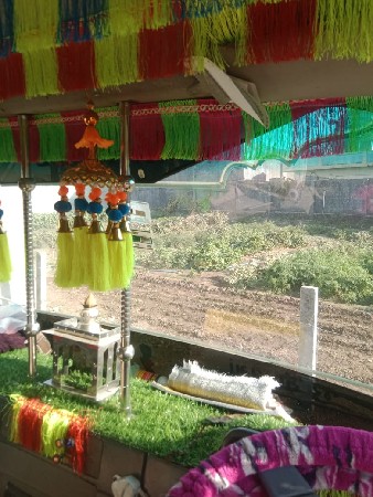 થંબનેલ 2